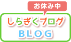 白菊幼稚園-ブログ(お休み中)